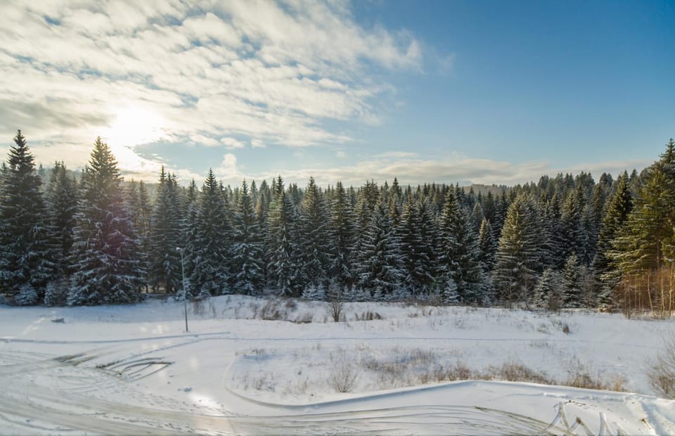 Silver Mountain 3 Bedroom Apartment Apartment in Brasov