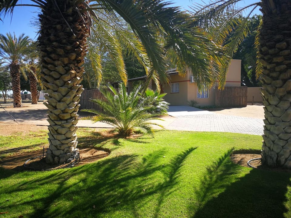 Day, Garden, Garden view