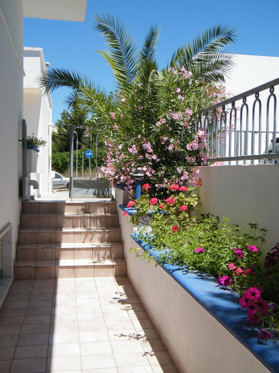 Patio, Garden