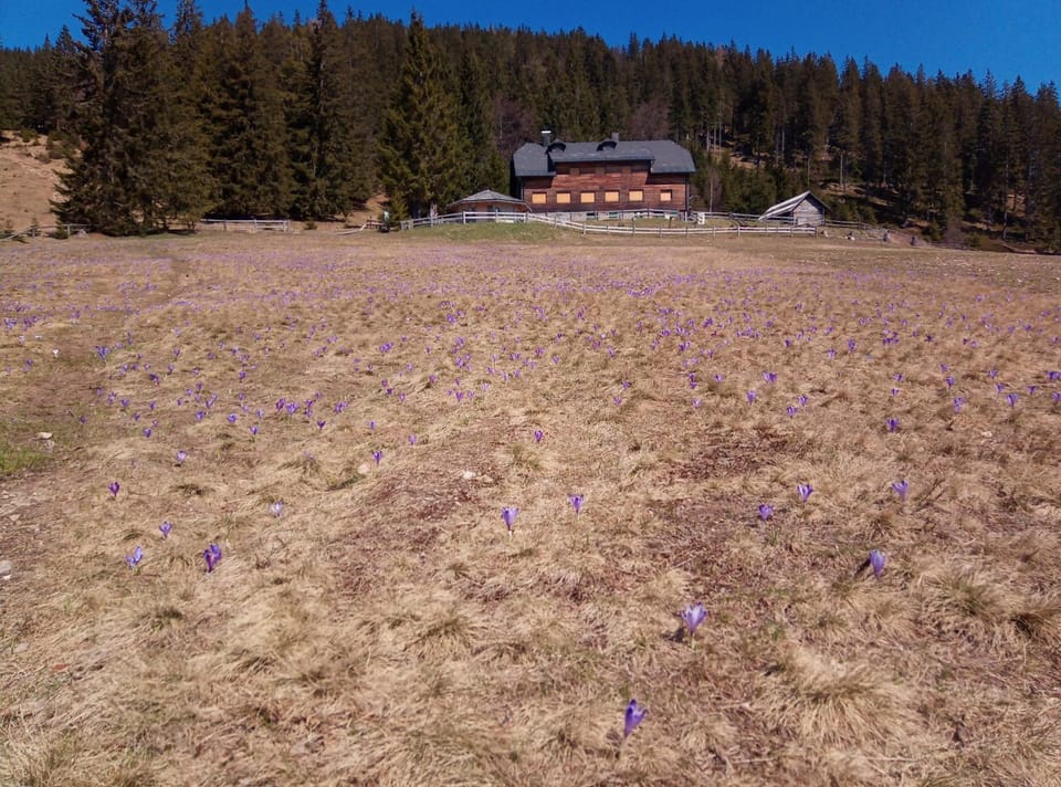 Nearby landmark, Spring, Day, Natural landscape, On site