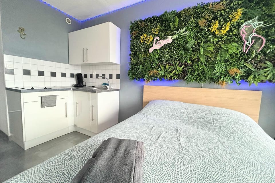 Naturiste Cap d'Agde Héliopolis F 47 Apartment in Agde