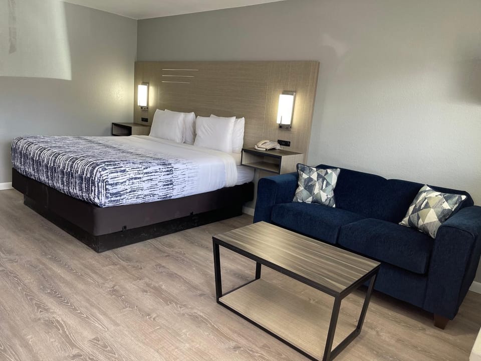 Bed, Seating area, Bedroom
