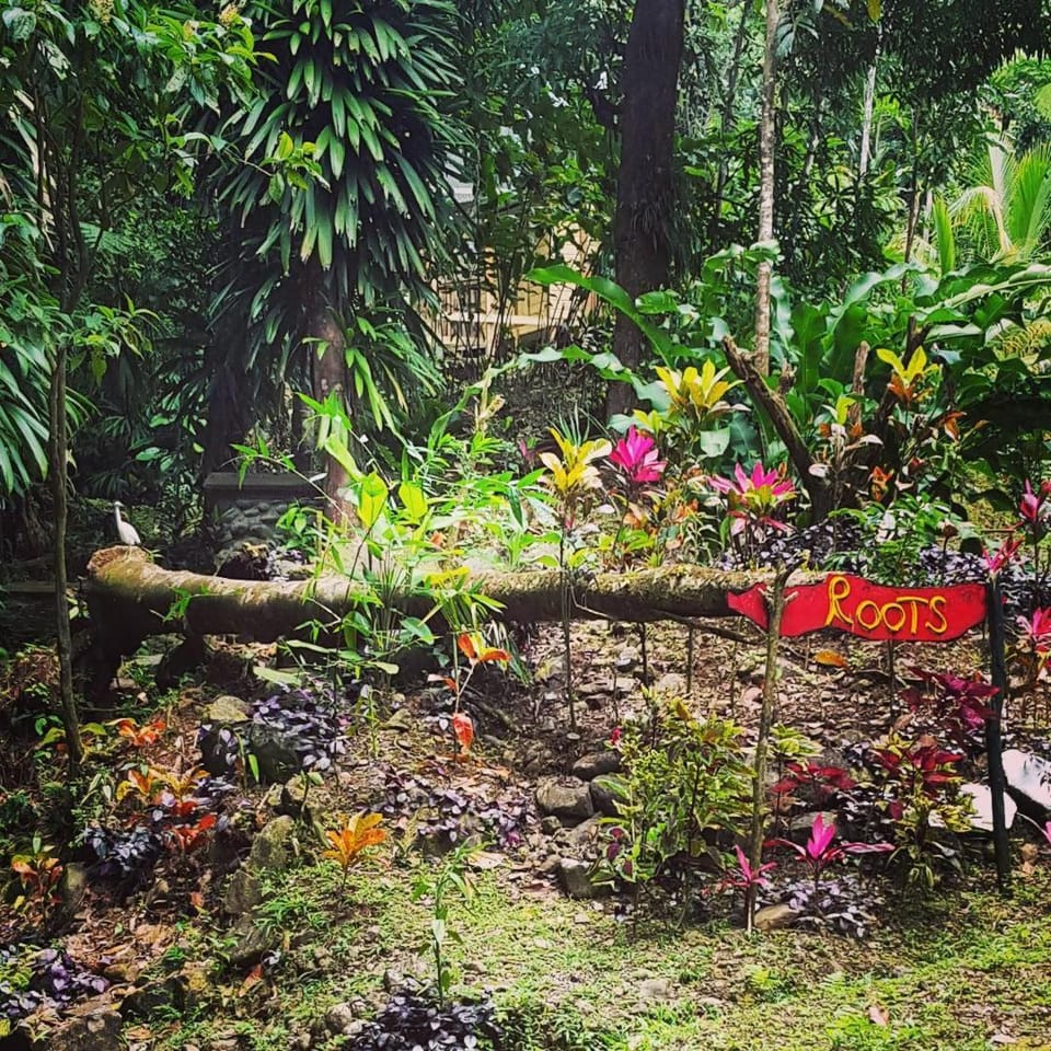 Natural landscape, Garden, On site