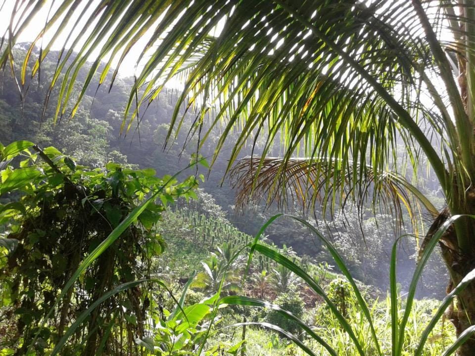 Natural landscape, Hiking, On site, Mountain view
