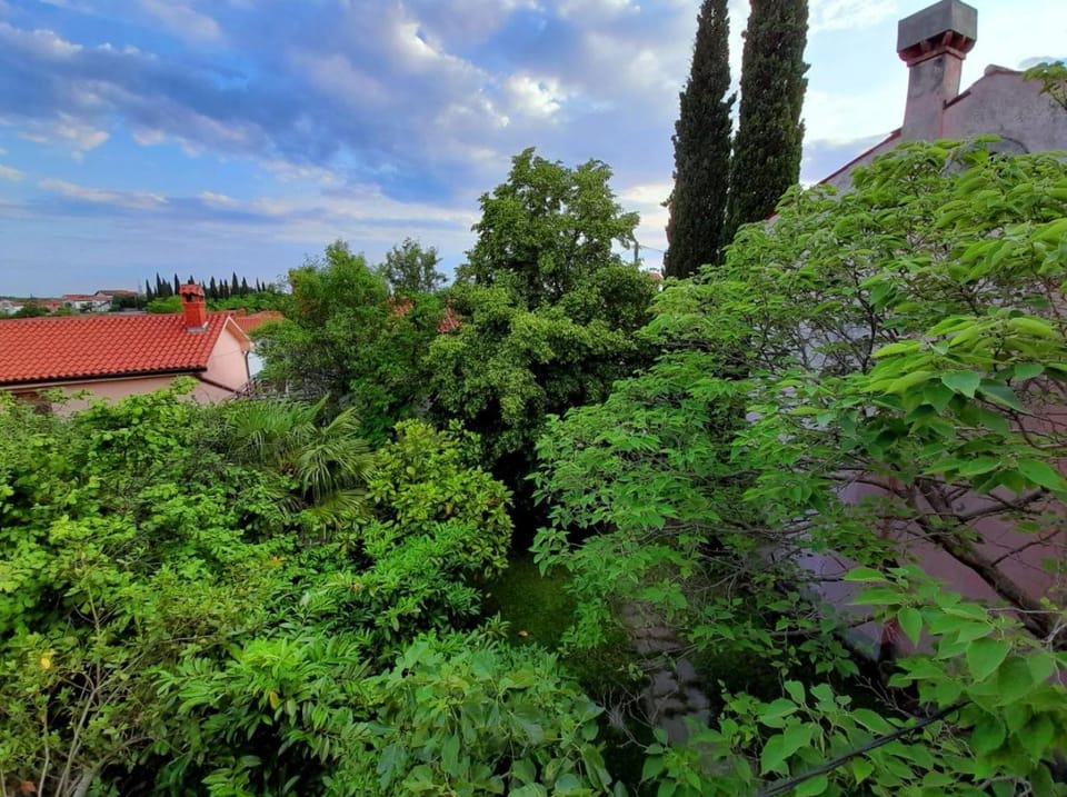 Garden view