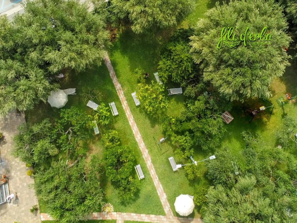 Bird's eye view, Garden, Garden, Garden view