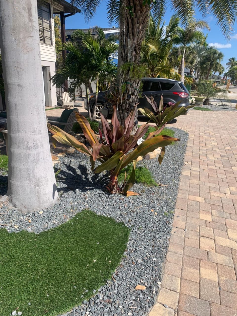 Garden, Garden, Garden view, Parking