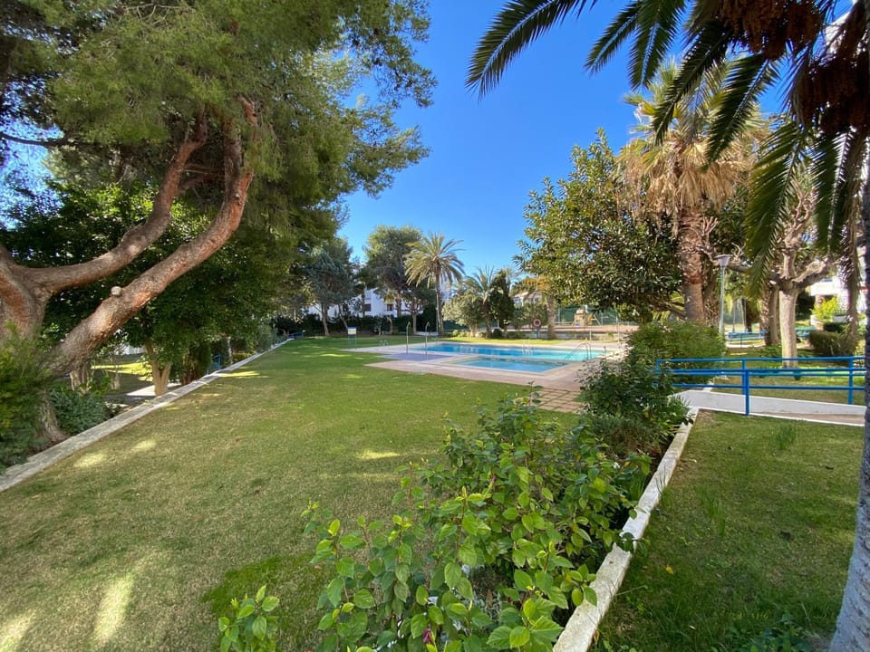 Spring, Day, Natural landscape, Garden, Swimming pool