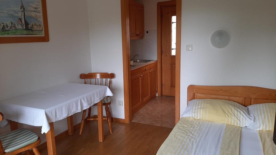 Kitchen or kitchenette, Living room, Dining area, Bedroom
