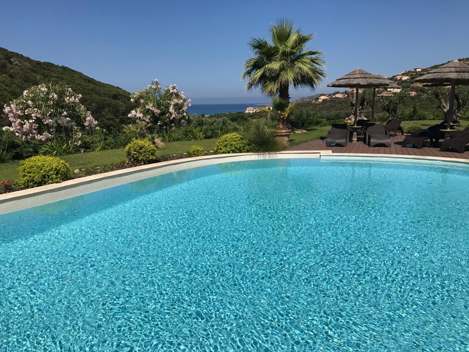 Natural landscape, Pool view, Swimming pool, sunbed