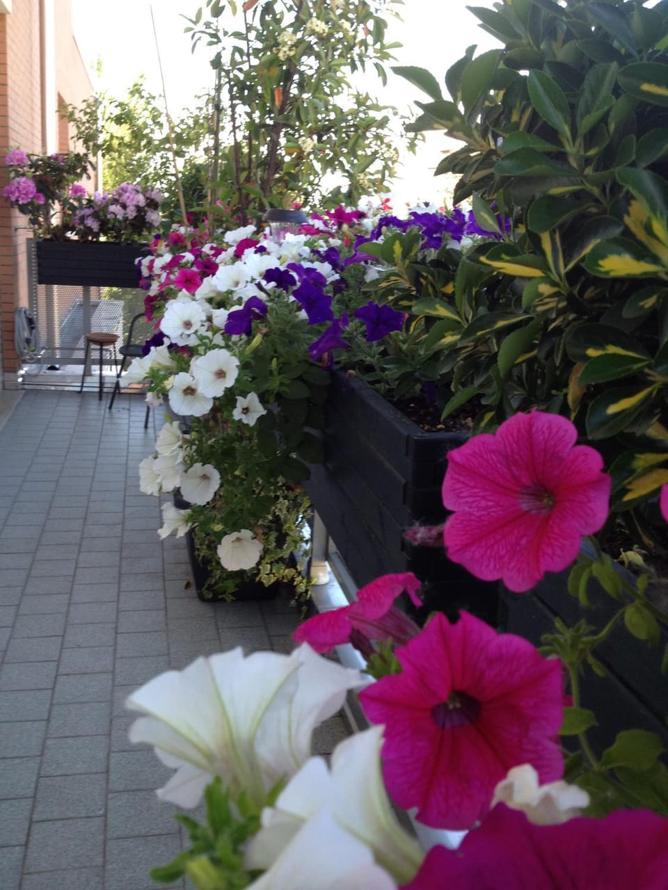 Balcony/Terrace, Balcony/Terrace