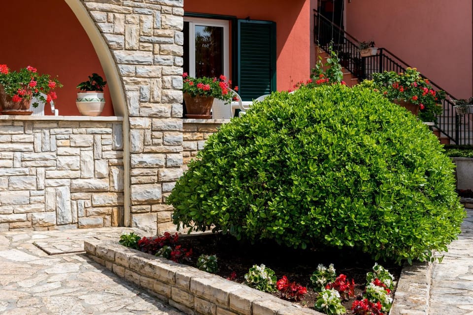 Patio, Facade/entrance, Garden