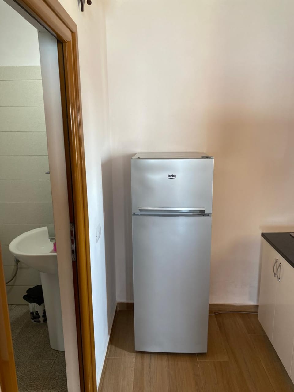 Kitchen or kitchenette, kitchen