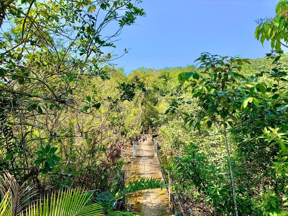 Natural landscape