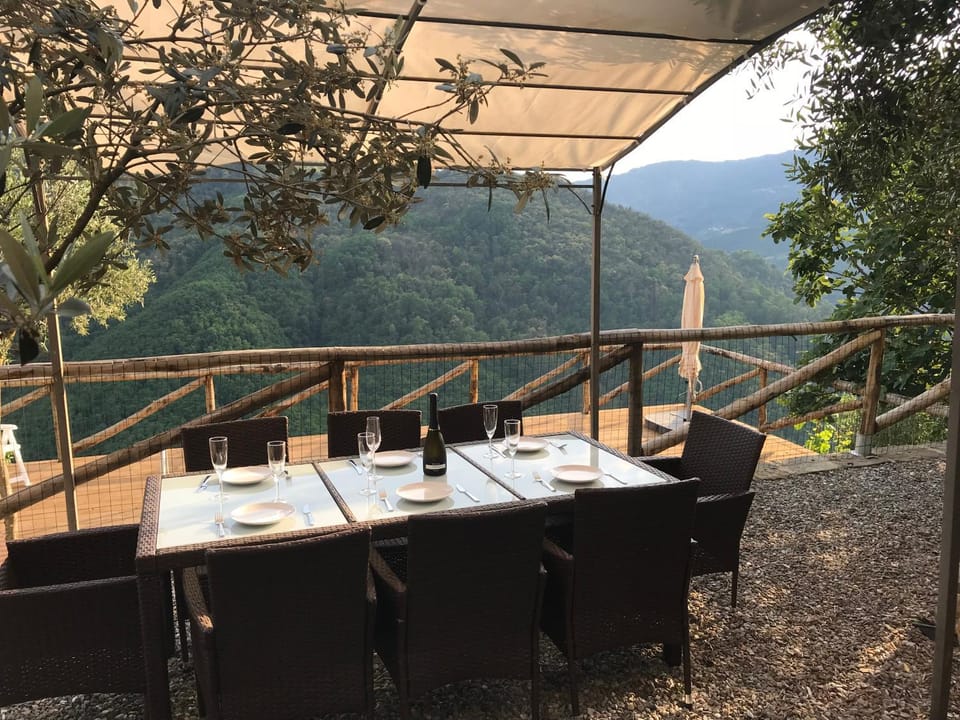 Patio, Garden, Balcony/Terrace, Dining area