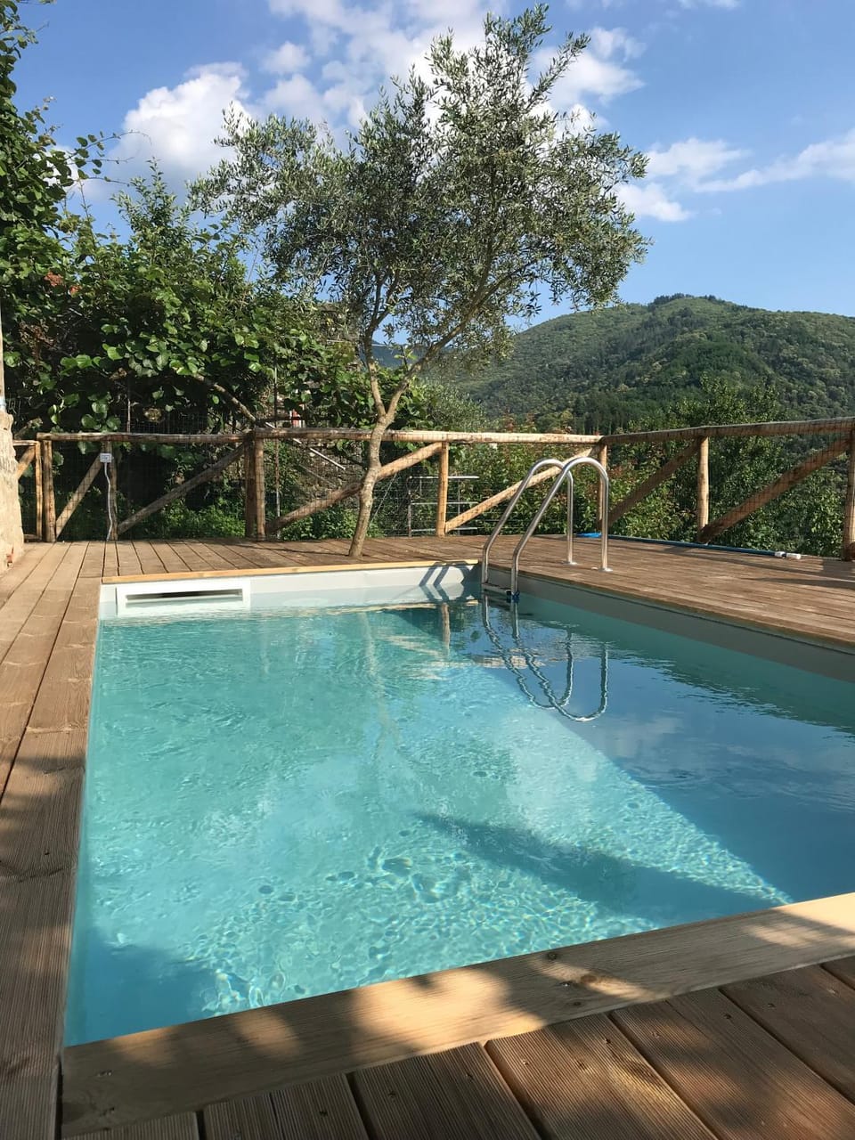 Garden, Garden view, Mountain view, Swimming pool