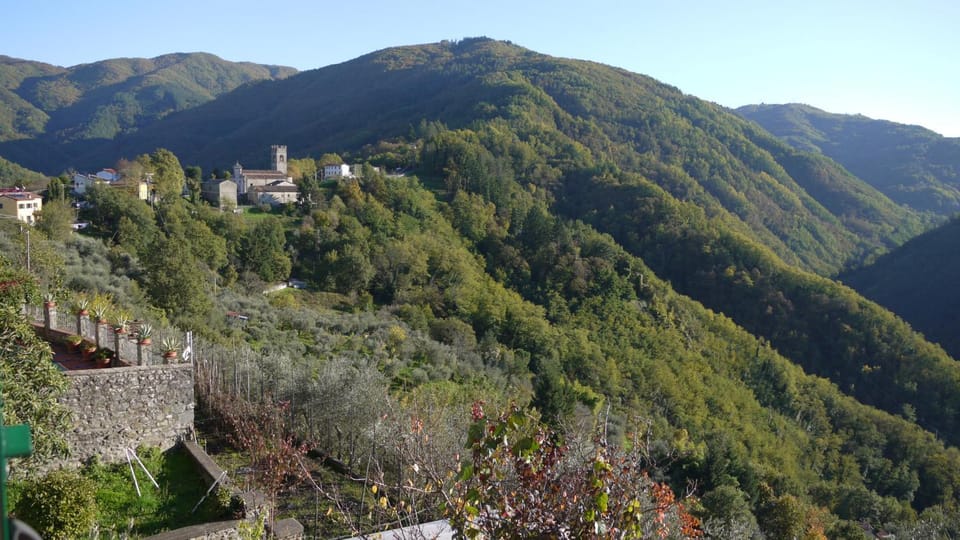Natural landscape, View (from property/room), Mountain view