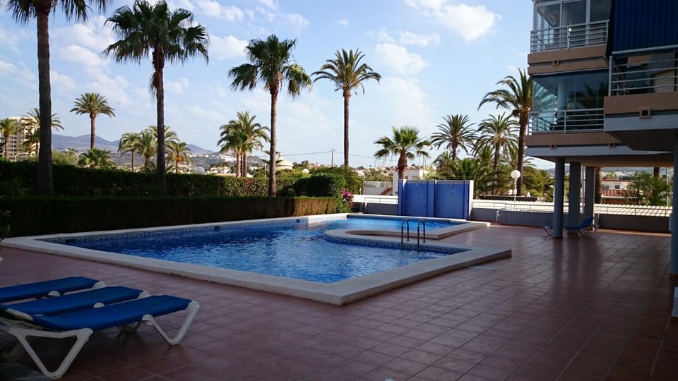 Garden, Solarium, Area and facilities, Swimming pool