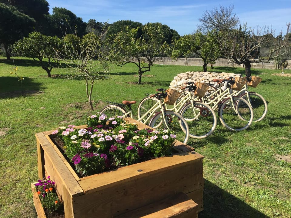 Cycling, On site