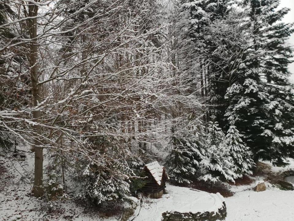 Natural landscape, Winter