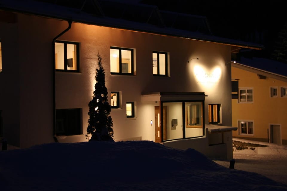 Facade/entrance, Night, Winter