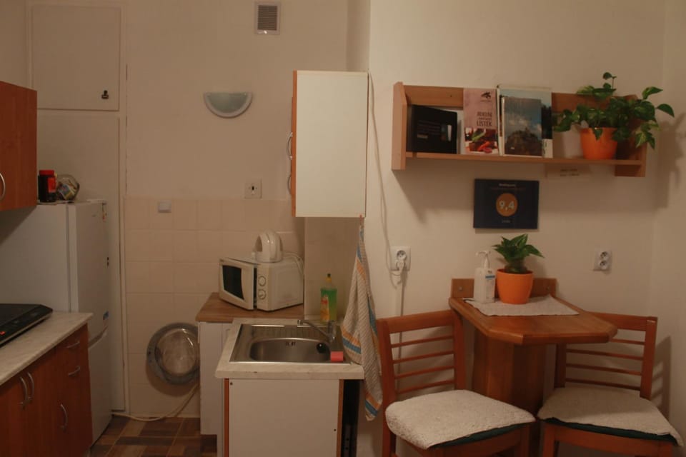 Coffee/tea facilities, Kitchen or kitchenette, washing machine