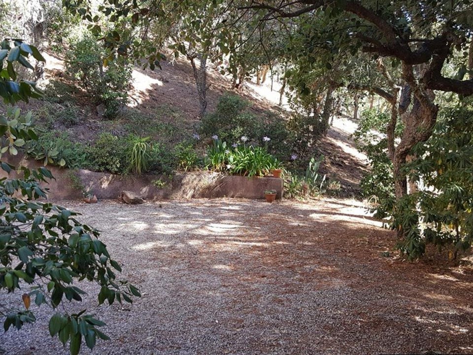Mas avec 3 chambres, jardin, piscine, tennis et proche plage à La Croix-Valmer - FR-1-100-152 House in Ramatuelle