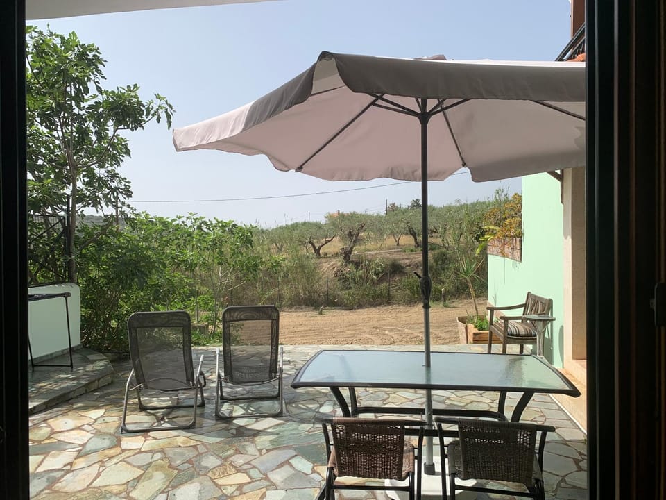Day, Natural landscape, Garden, View (from property/room), Garden view