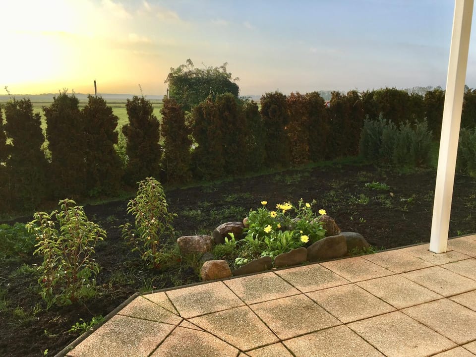Garden view