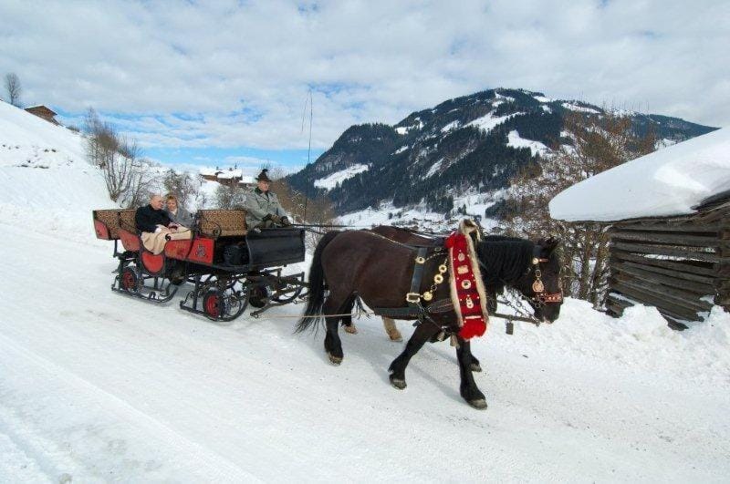 Winter, Entertainment