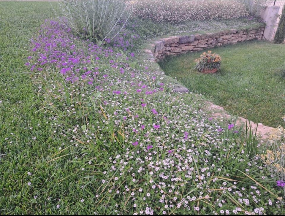 Tenuta Porello Bed and Breakfast in Abruzzo