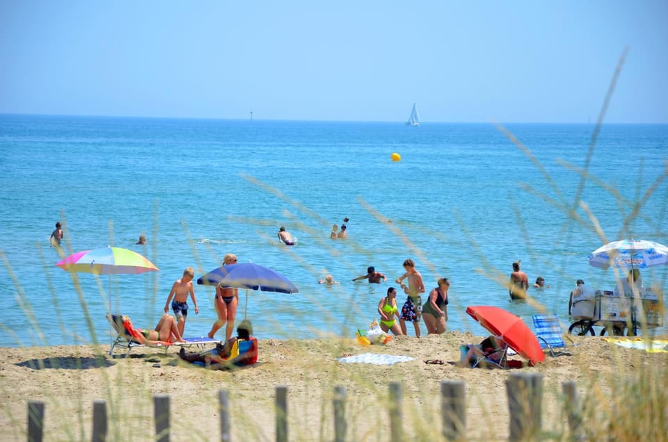 People, Beach, group of guests
