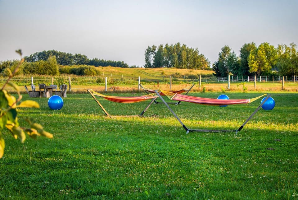 Activities, Garden, Garden view