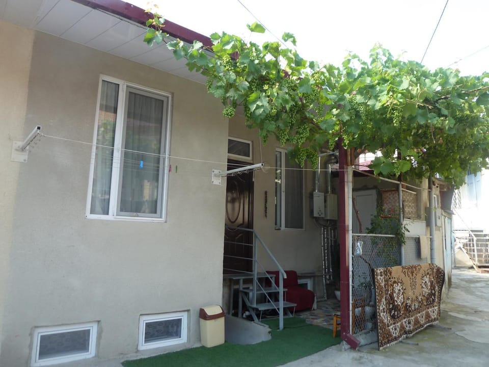 Patio, Swimming pool