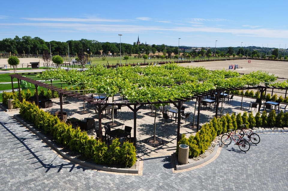 Garden, Garden view