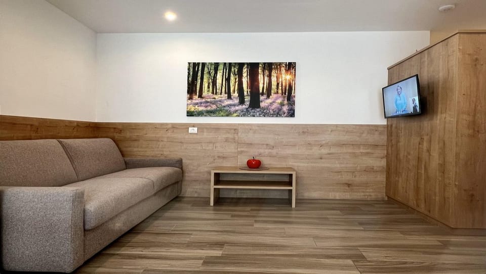 Communal lounge/ TV room, TV and multimedia, Living room