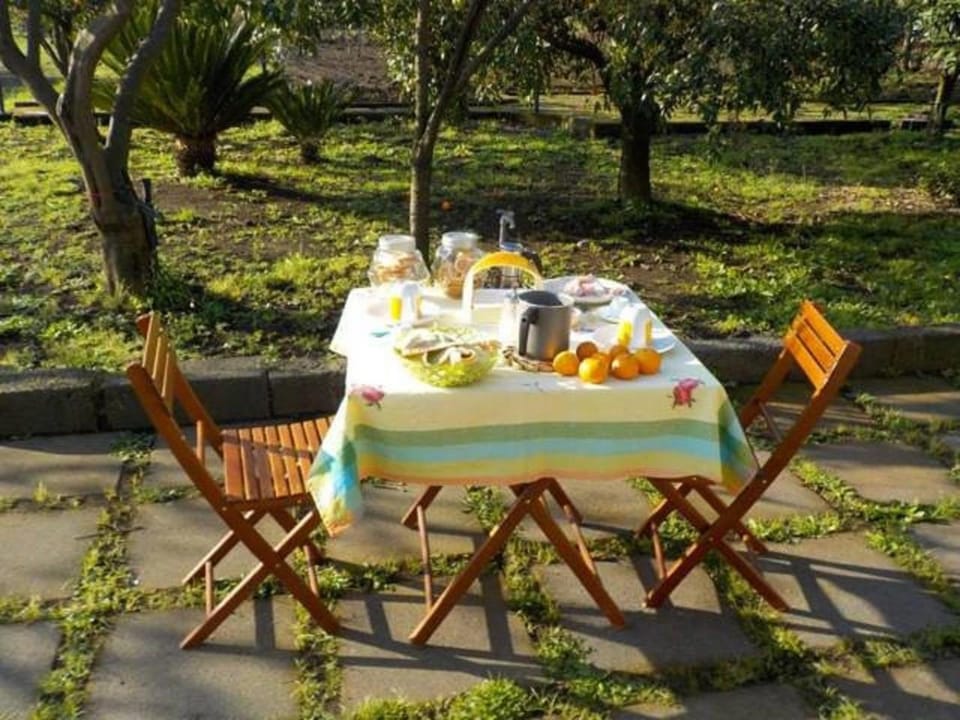 Garden, Garden view, Breakfast