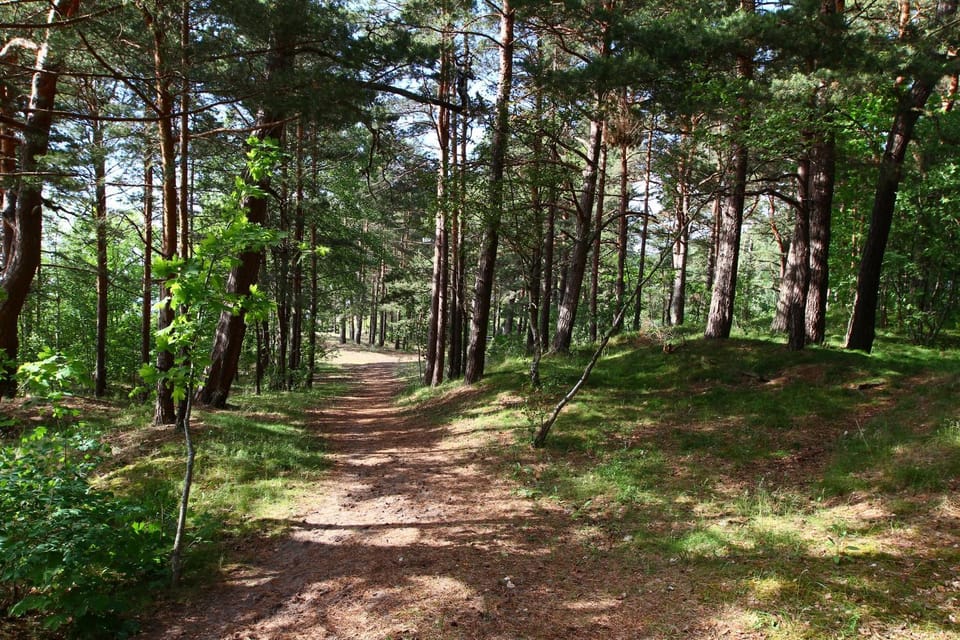 Welcome Sun Republic Apartments Apartment in Latvia