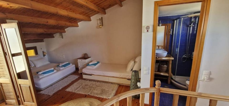 Mochlos Beach Villa Seafront house House in Lasithi