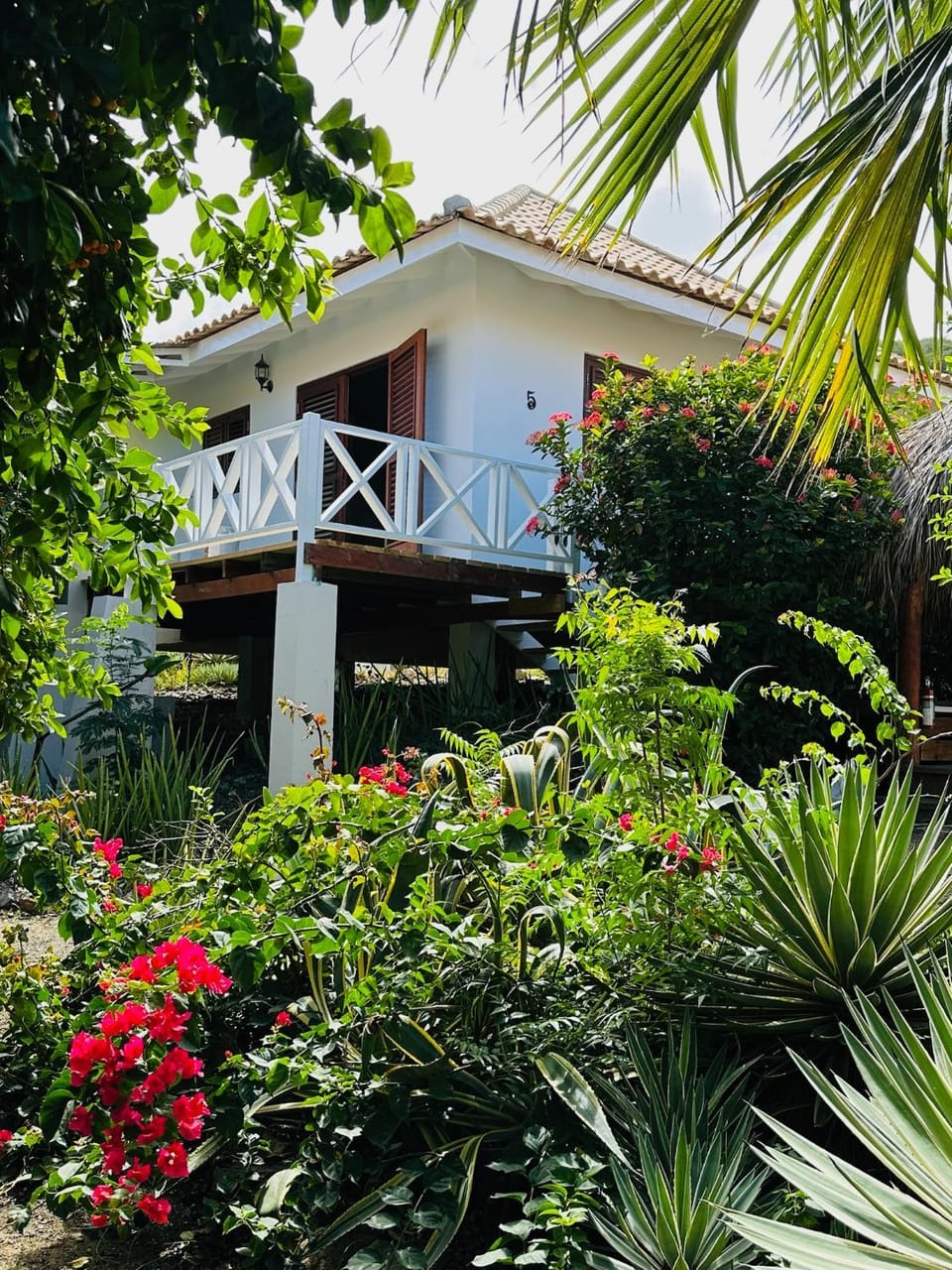 Balcony/Terrace, Garden view