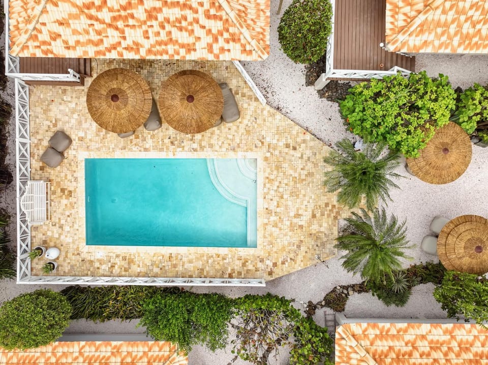 Day, Bird's eye view, Pool view