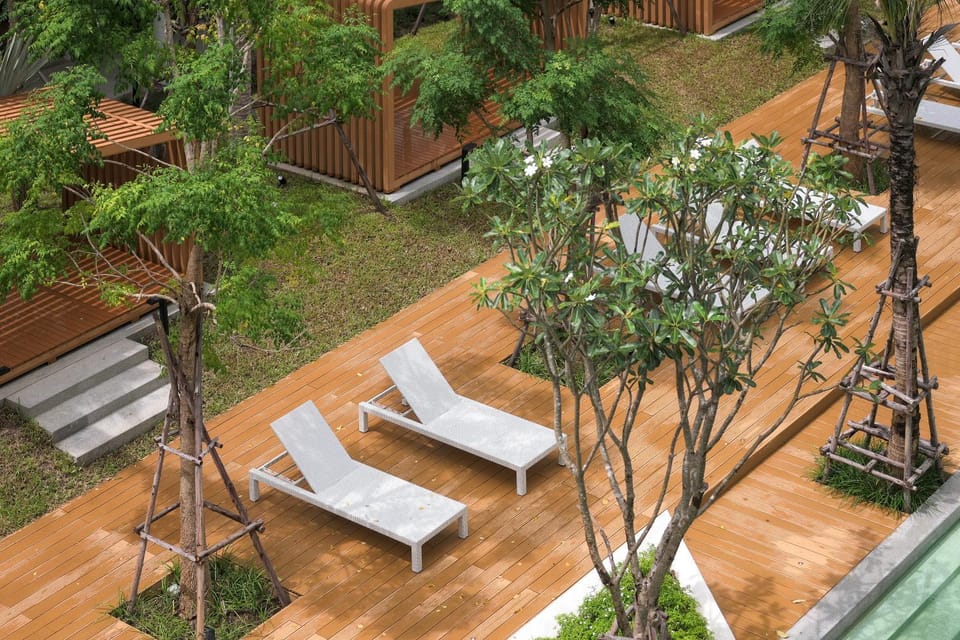 Garden view