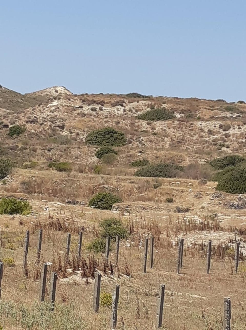 FANIA 2 ROOMS in FRONT OF THE SEA Apartment in Kardamena