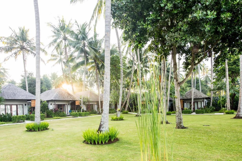 Garden, Sunrise