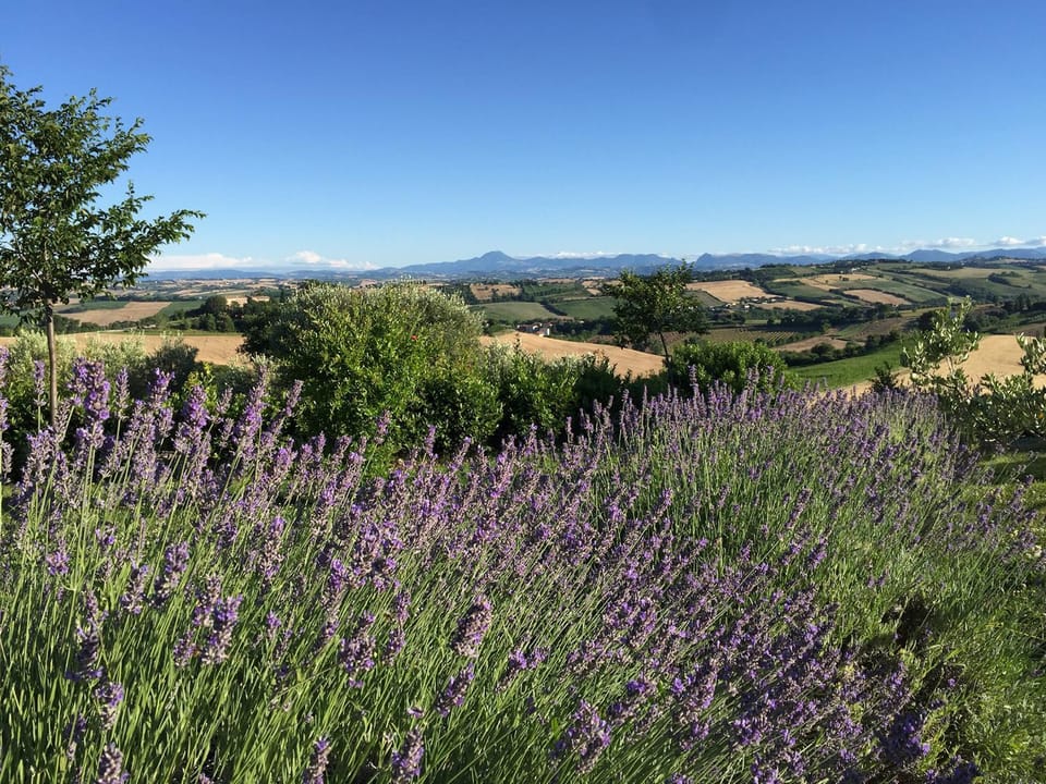 Nearby landmark, Natural landscape, Mountain view
