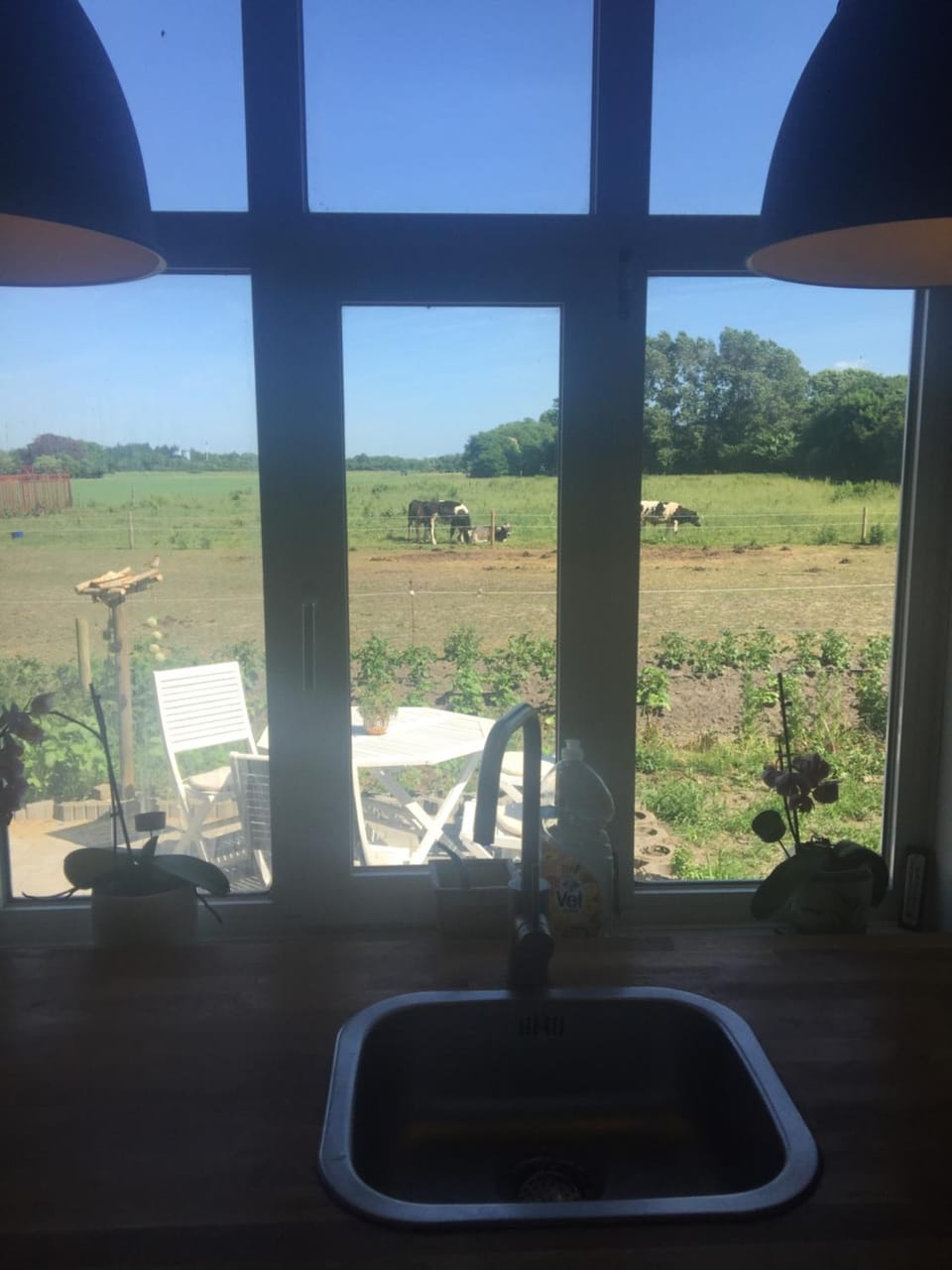 Off site, Food close-up, View (from property/room)