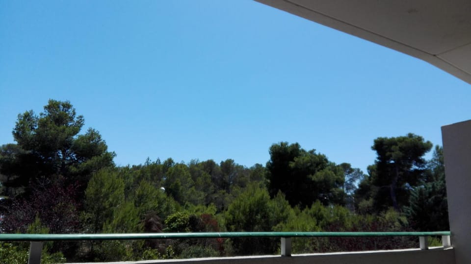 Garden view, Street view