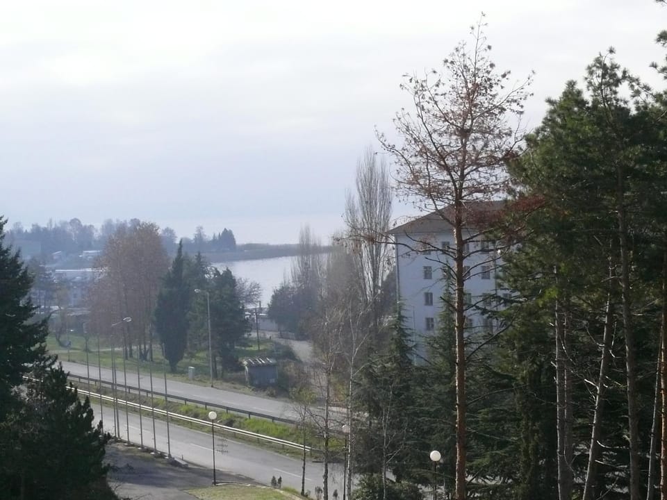 Natural landscape