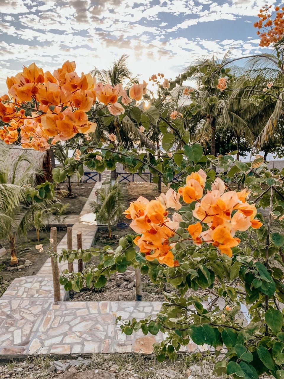 Garden, Garden, Garden view