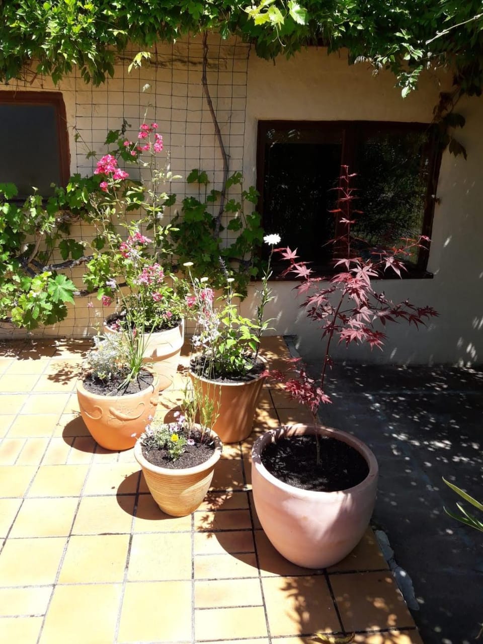 Patio